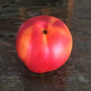 Meet your Posher, Terri